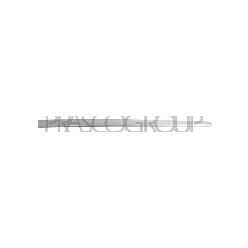 Baguette et bande protectrice, porte avant gauche PRASCO VG0401424