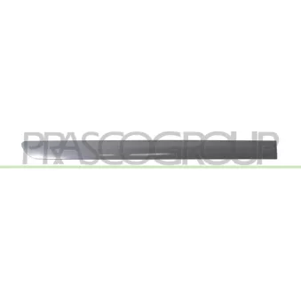 Baguette et bande protectrice, porte arrière droit PRASCO VG0401463