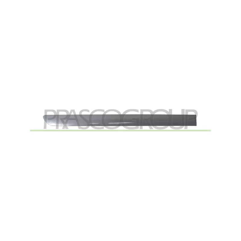 Baguette et bande protectrice, porte arrière droit PRASCO VG0401463