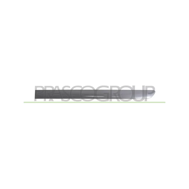 Baguette et bande protectrice, porte arrière gauche PRASCO VG0401464