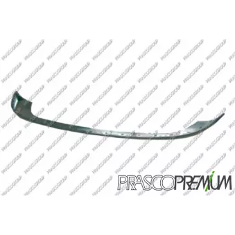 Spoiler PRASCO VG0401801