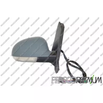 Rétroviseur extérieur PRASCO VG0407323P