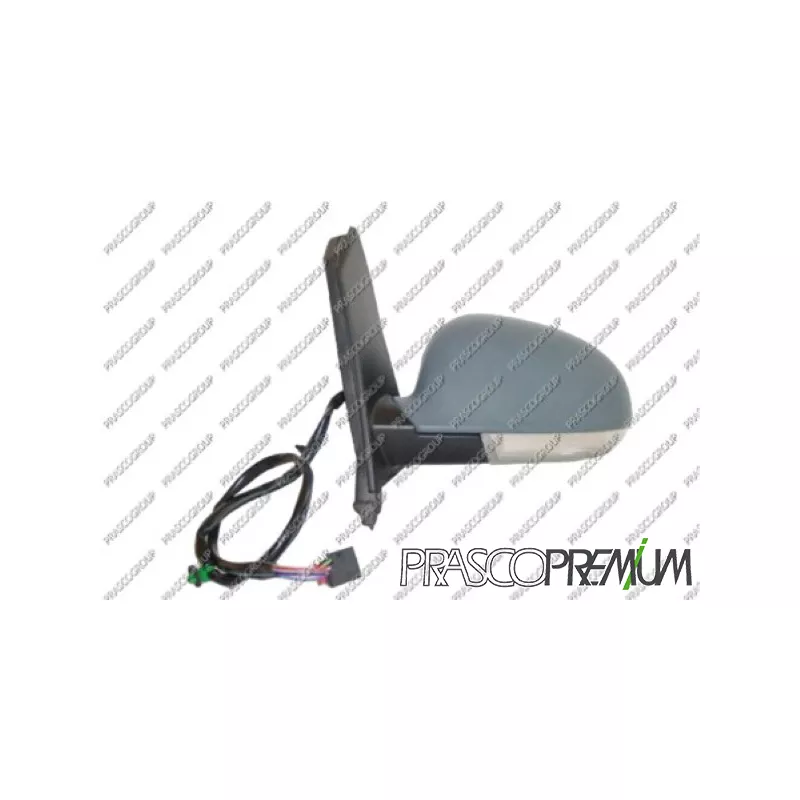 Rétroviseur extérieur PRASCO VG0407334P