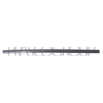 Baguette et bande protectrice, porte avant droit PRASCO VG0521423