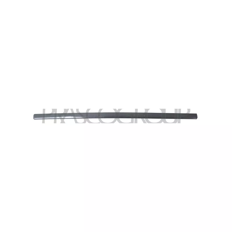 Baguette et bande protectrice, porte avant droit PRASCO VG0521423