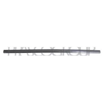 Baguette et bande protectrice, porte avant gauche PRASCO VG0521424