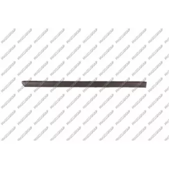 Baguette et bande protectrice, porte arrière droit PRASCO VG0521453