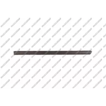 Baguette et bande protectrice, porte arrière gauche PRASCO VG0521454