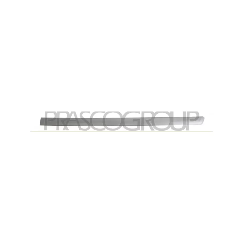 Baguette et bande protectrice, porte arrière gauche PRASCO VG0521464