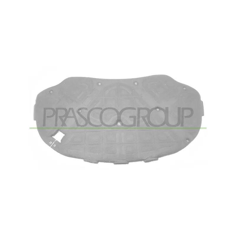 Insonoristaion du compartiment moteur PRASCO VG0541945