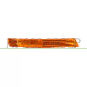 Feu clignotant avant droit PRASCO VG0544325
