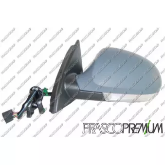 Rétroviseur extérieur PRASCO VG0547314P