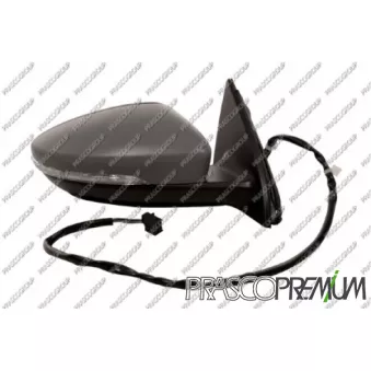 Rétroviseur extérieur PRASCO VG0557303P