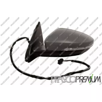 Rétroviseur extérieur PRASCO VG0557304P
