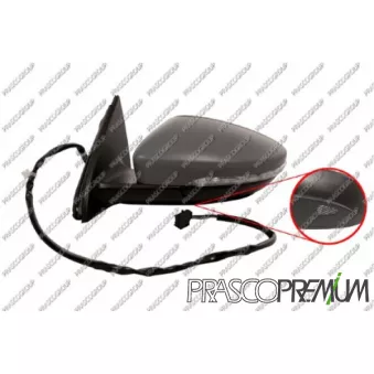 Rétroviseur extérieur PRASCO VG0557314P
