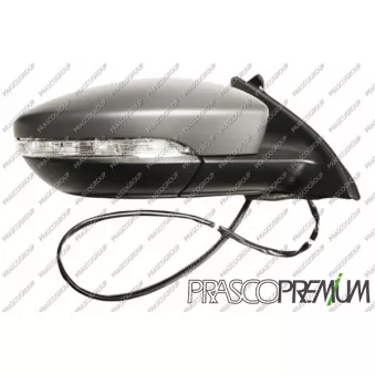 Rétroviseur extérieur PRASCO VG0557323P