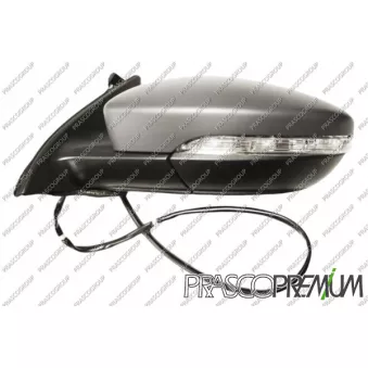 Rétroviseur extérieur PRASCO VG0557324P