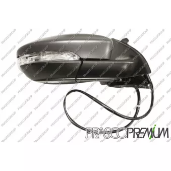 Rétroviseur extérieur PRASCO VG0557353P