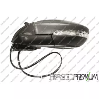 Rétroviseur extérieur PRASCO VG0557354P