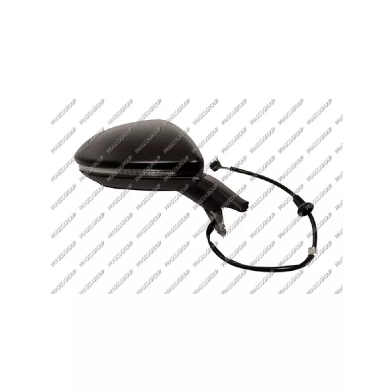 Rétroviseur extérieur PRASCO VG4007311P
