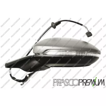 Rétroviseur extérieur PRASCO VG4007318P