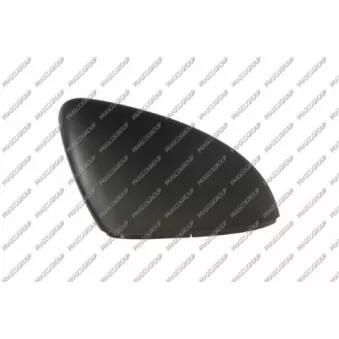 Revêtement, rétroviseur extérieur PRASCO VG4007403P