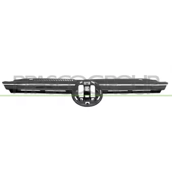 Grille de radiateur PRASCO VG4102001