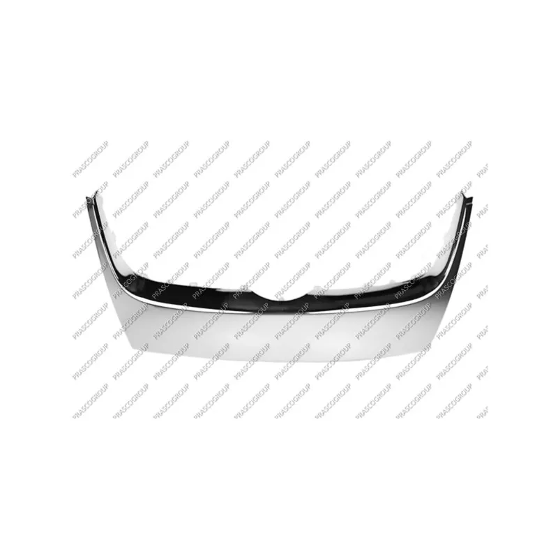Baguette et bande protectrice, grille de radiateur PRASCO VG5202206