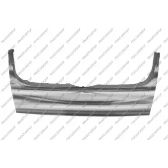 Baguette et bande protectrice, grille de radiateur PRASCO VG5202216