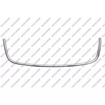 Cadre, grille de radiateur PRASCO VG5202226