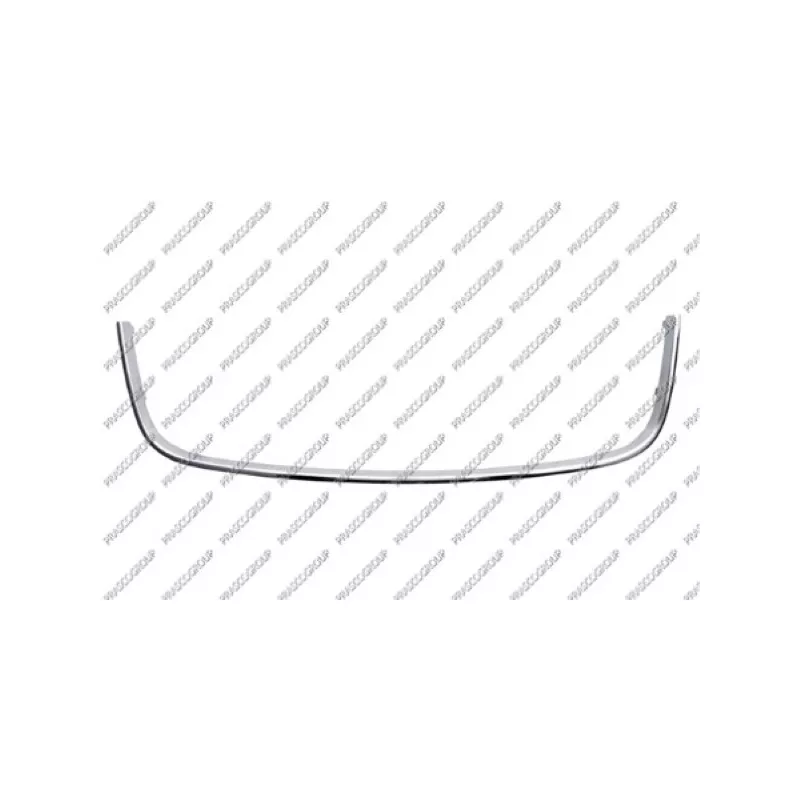 Cadre, grille de radiateur PRASCO VG5202226