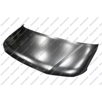 Capot-moteur PRASCO