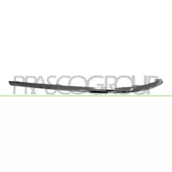 Baguette et bande protectrice, pare-chocs arrière gauche PRASCO VG6201254