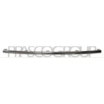 Baguette et bande protectrice, pare-chocs PRASCO VG6201255