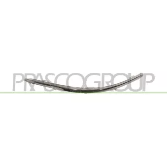 Baguette et bande protectrice, pare-chocs avant gauche PRASCO VG7171248