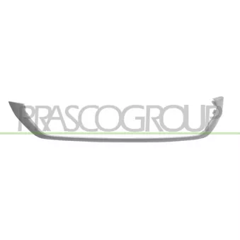 Baguette et bande protectrice, pare-chocs PRASCO VG7501245