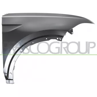 Aile avant droit PRASCO VG7503003