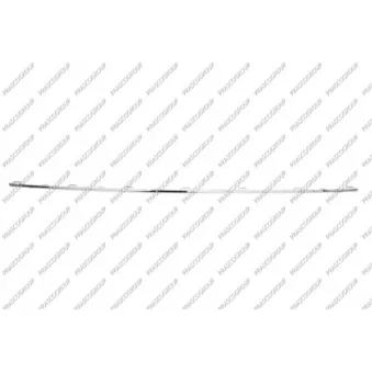 Baguette et bande protectrice, grille de radiateur PRASCO VG7702206
