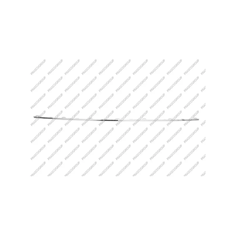 Baguette et bande protectrice, grille de radiateur PRASCO VG7702206