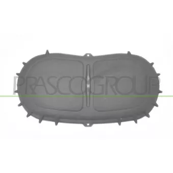 Insonoristaion du compartiment moteur PRASCO VG8071945
