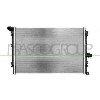 Radiateur, refroidissement du moteur PRASCO VG807R001