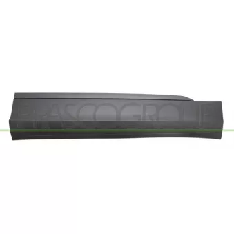 Baguette et bande protectrice, porte avant droit PRASCO VG8101403