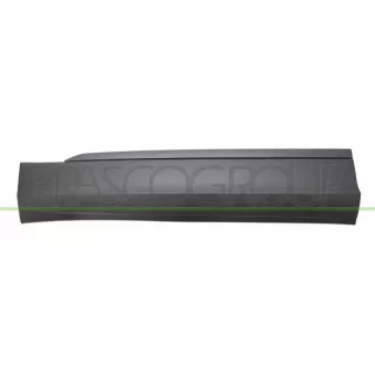 Baguette et bande protectrice, porte avant gauche PRASCO VG8101404