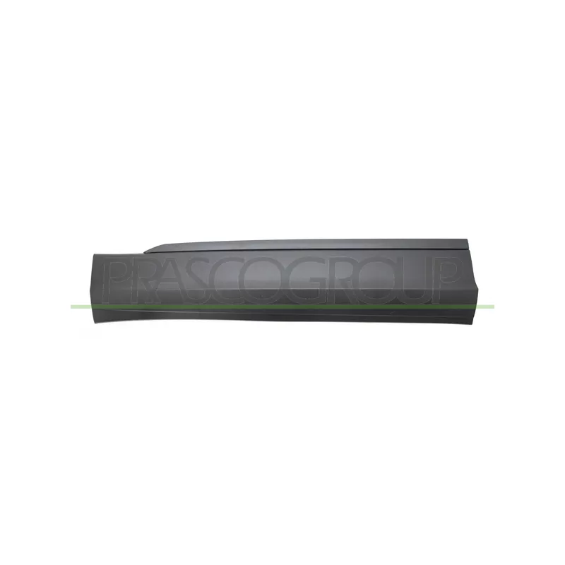 Baguette et bande protectrice, porte avant gauche PRASCO VG8101404