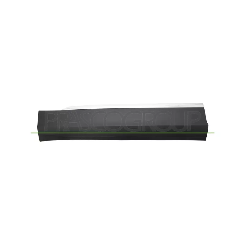 Baguette et bande protectrice, porte avant gauche PRASCO VG8101414