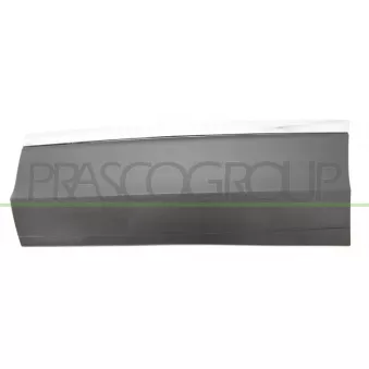 Baguette et bande protectrice, porte arrière gauche PRASCO VG8101464