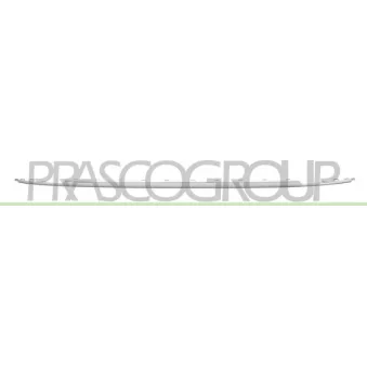 Baguette et bande protectrice, pare-chocs PRASCO VG8121255
