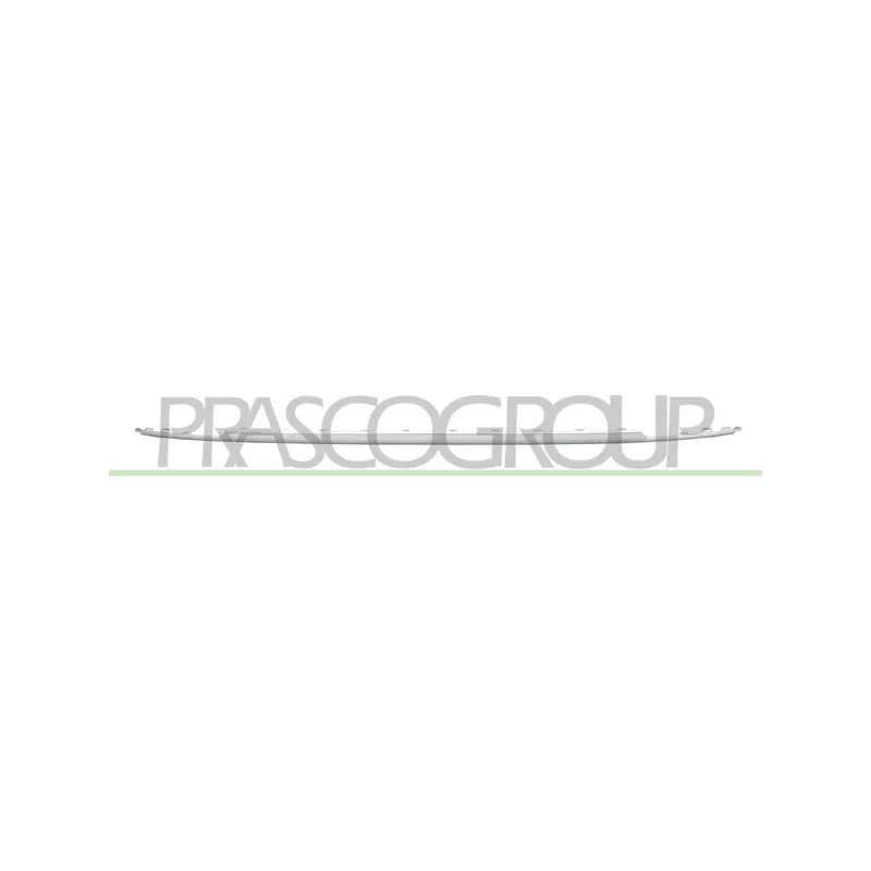 Baguette et bande protectrice, pare-chocs PRASCO VG8121255