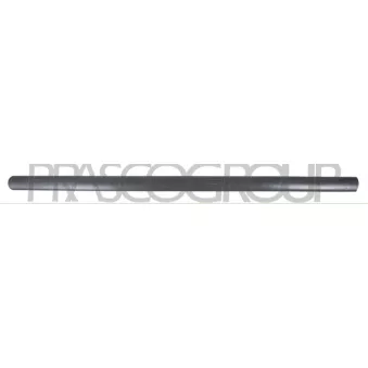 Baguette et bande protectrice, porte avant droit PRASCO VG9041403