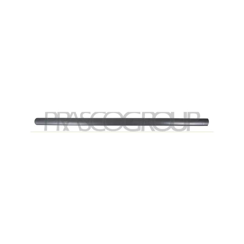 Baguette et bande protectrice, porte avant droit PRASCO VG9041403